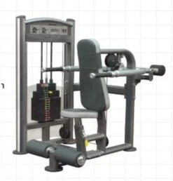 Impulse IT Seated Dip