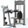 Impulse IT Lateral Raise -Fitness Equipment Store 10680