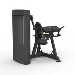 Spirit Dual Series Biceps Curl / Triceps Extension -Fitness Equipment Store img 24 sf sp4607 r45 opti